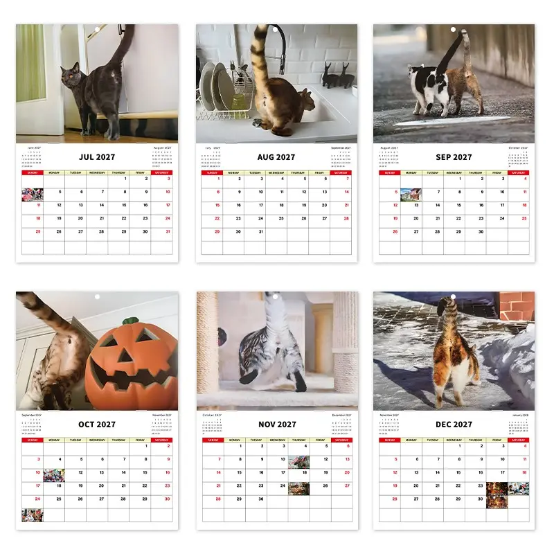 2027 Funny Cat Wall Calendar, Hilarious Kitten Photo Monthly Planner, Novelty Gag Gift for Cat Lovers, Home Decor Idea