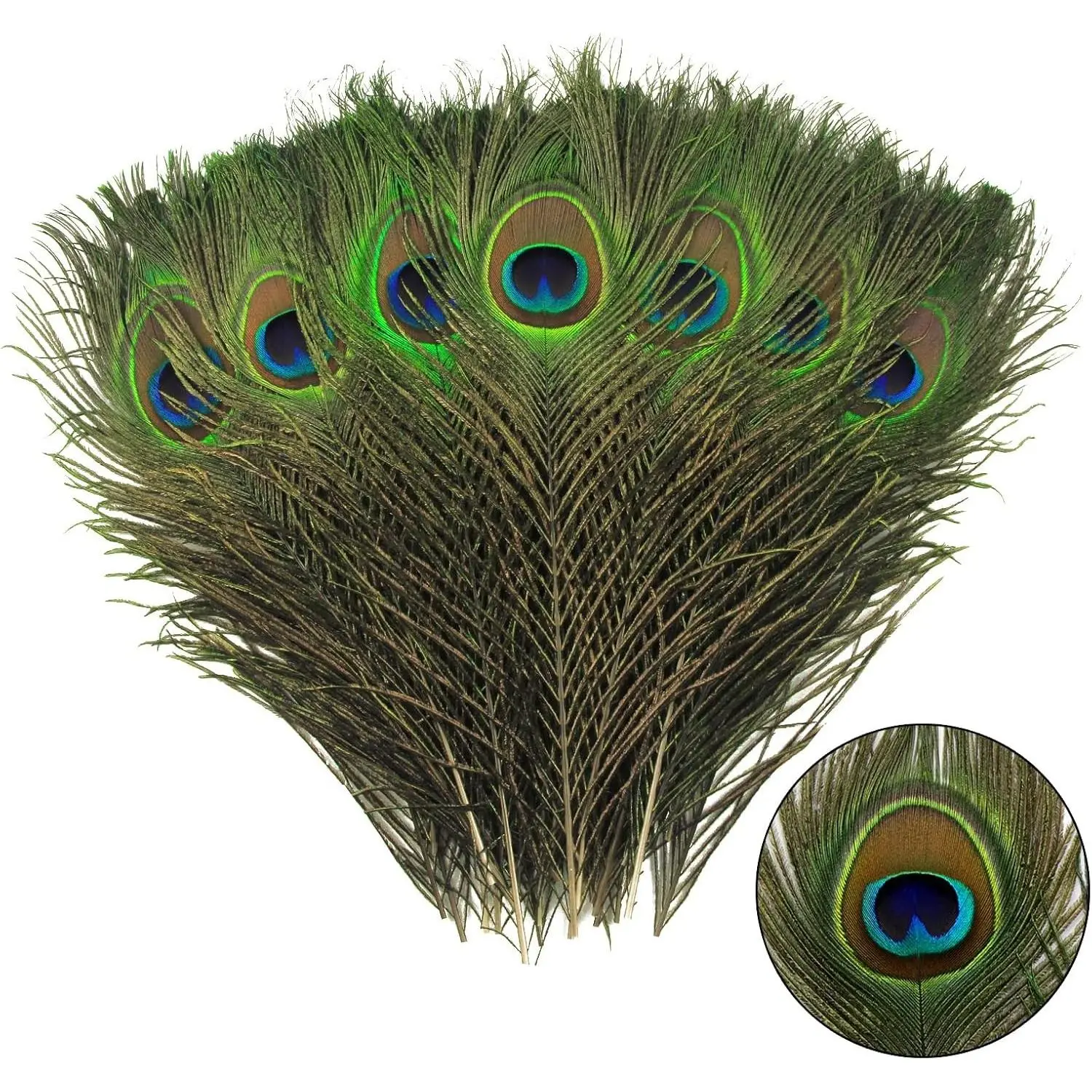 12pcs Natural Bulk Peacock Feathers 10-12 Inch (25-30cm) for Craft Vase Wedding Home Party Christmas Decoration