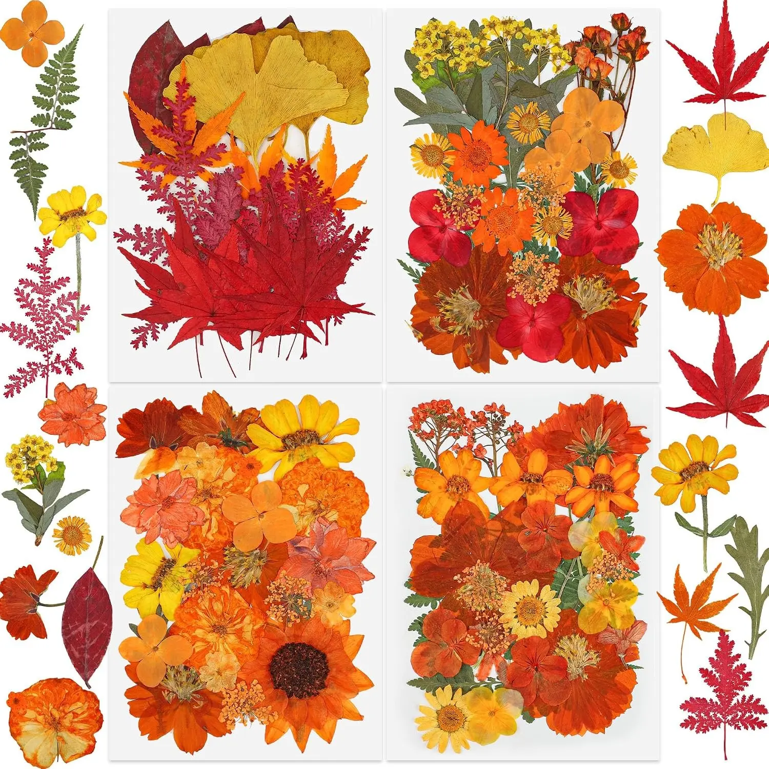 100 PCS Real Fall Dried Pressed Flowers Leaves Fall Natural Dried Flowers Leaves Kit Autumn Pressed Dry Flower Leaf Set for Scrapbooking DIY Art Craft Resin Jewelry Molds Candle Soap Making Nail Decor