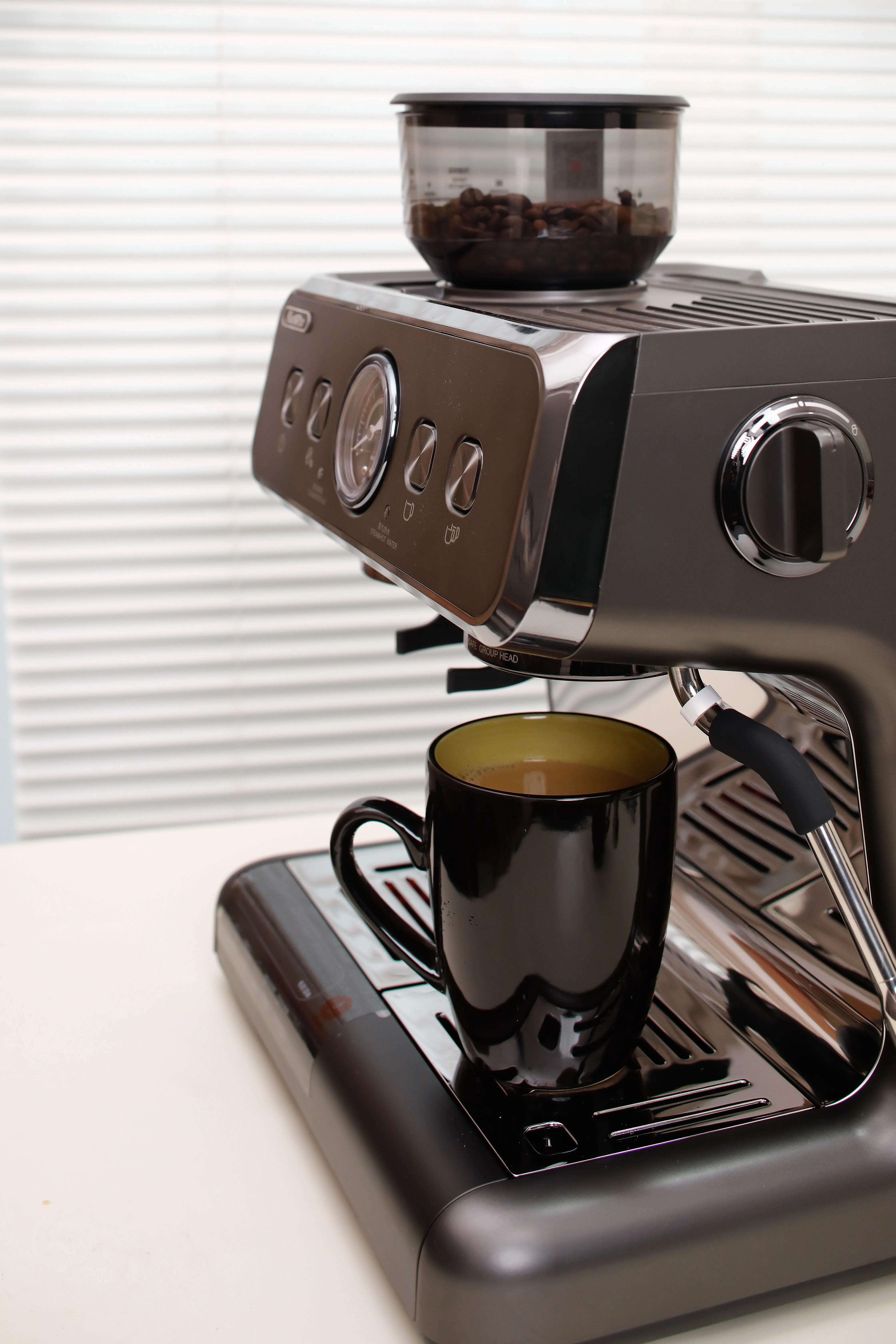 Handpainted Sonoma Green 16pc Ceramic Dish of Plate High-End Luxury Kitchen Bowls With Coffee Mug Premium Dinnerware Sets for 4