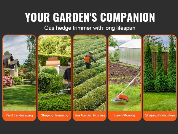 VEVOR 33CC 6-in-1 Multi-Functional Trimming Tools, Gas Hedge Trimmer, Weed Eater, String Trimmer, Brush Cutter, Edger, Pole Saw Chainsaw Pruner with Extension Pole VEVOR 33CC 6-in-1 Multi-Functional Trimming Tools, Gas Hedge Trimmer, Weed Eater, String Trimmer, Brush Cutter, Edger, Pole Saw Chainsaw Pruner with Extension Pole