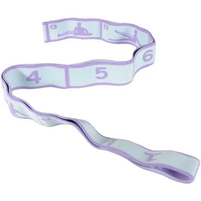 Premium Elastic Resistance Bands, 8-Grid Digital Marking + Yoga Pose-Adapted Design, for Yoga Dance Pilates Stretching Muscle Building Strength Training, Home Gym Indoor Outdoor Fitness