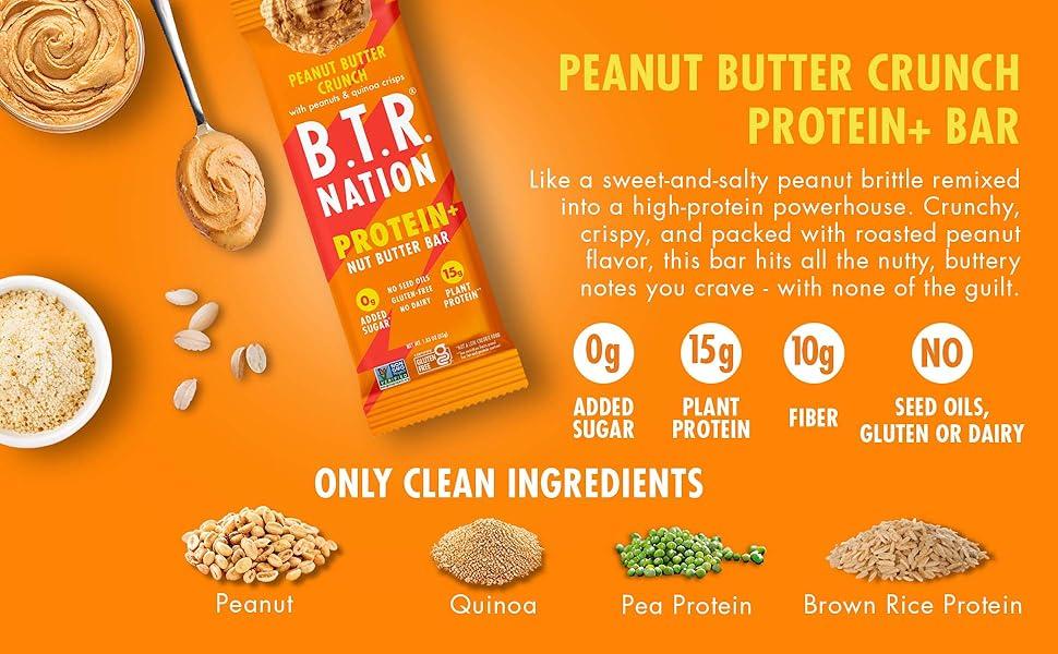 Nation Vegan Keto Plant Based High Protein HIgh Fiber Bars Peanut Butter Crunch Protein+| 12 Bars| Low Carb GF, Free Sugar Alcohols, Dairy, Soy, with Powerful Superfoods!