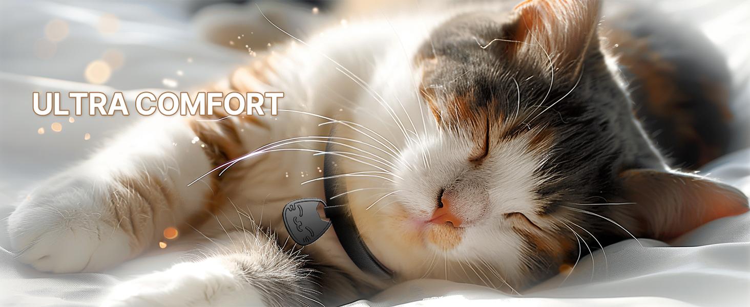 Cat Collar with Name Tag Breakaway: Kitten Collars for Girl Boy Cats with Writable Name Tags, Ultra Soft & Elastic Adjustable (6"-12") Cat Collar with Break Away Safety Buckle, Khaki