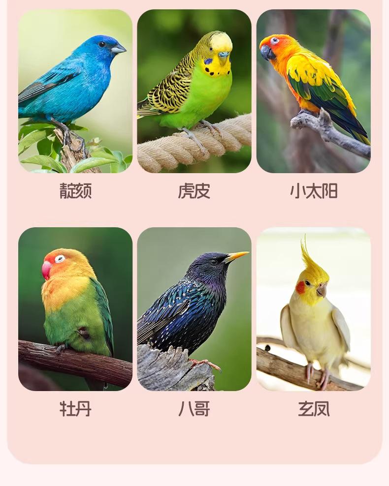 New Transparent Villa Bird Cage Double Layer Large Size Anti-Splash Horizontal Wire Special for Parakeet Cockatiel Budgie Parrot with Pet Toy Accessories