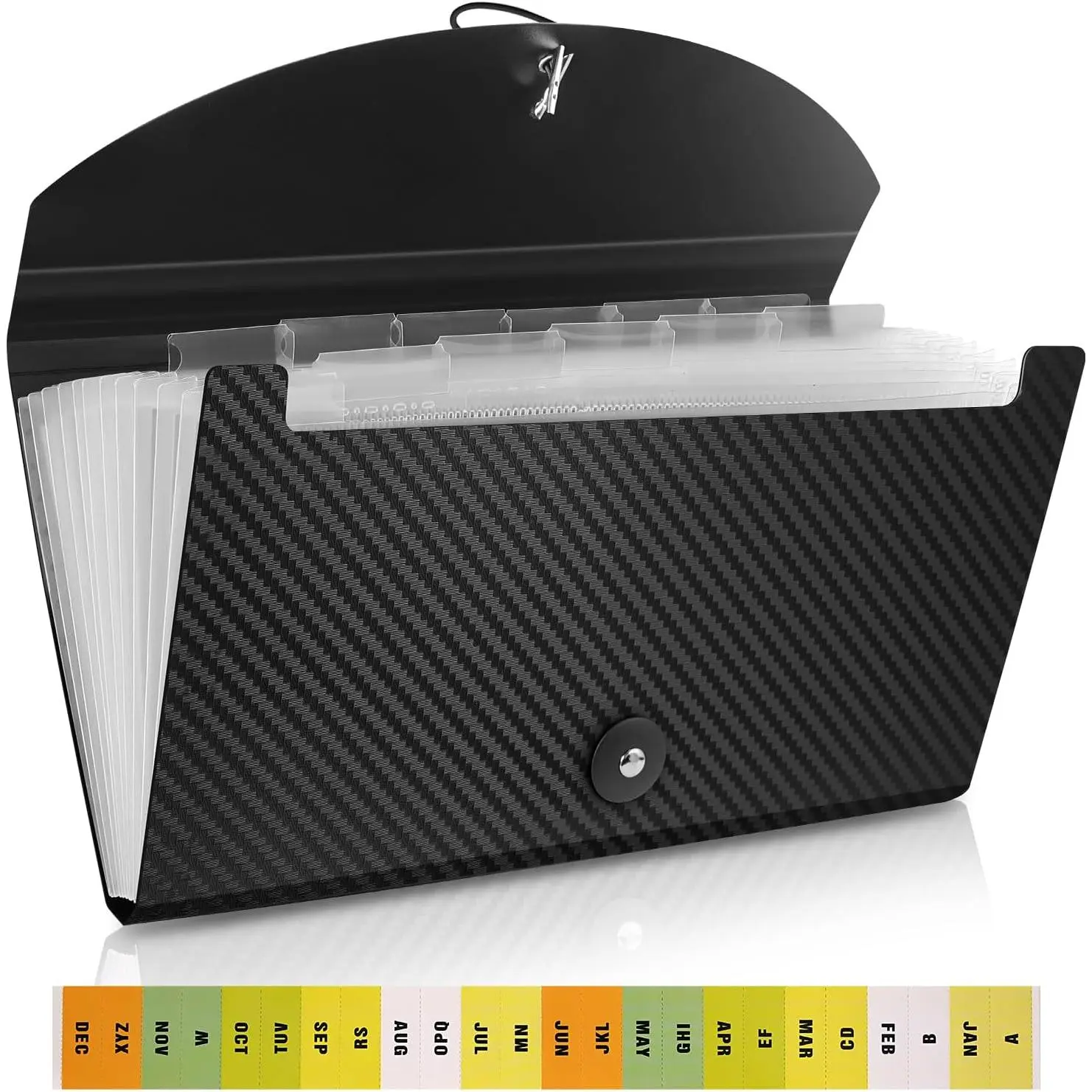 Accordion File Folder with Tabs and Elastic Closure, 13 Pocket File Organizer for A4 Documents, Receipt & Bill Organizer, Portable Document Holder for  Office School Travel, Black 1 Pack