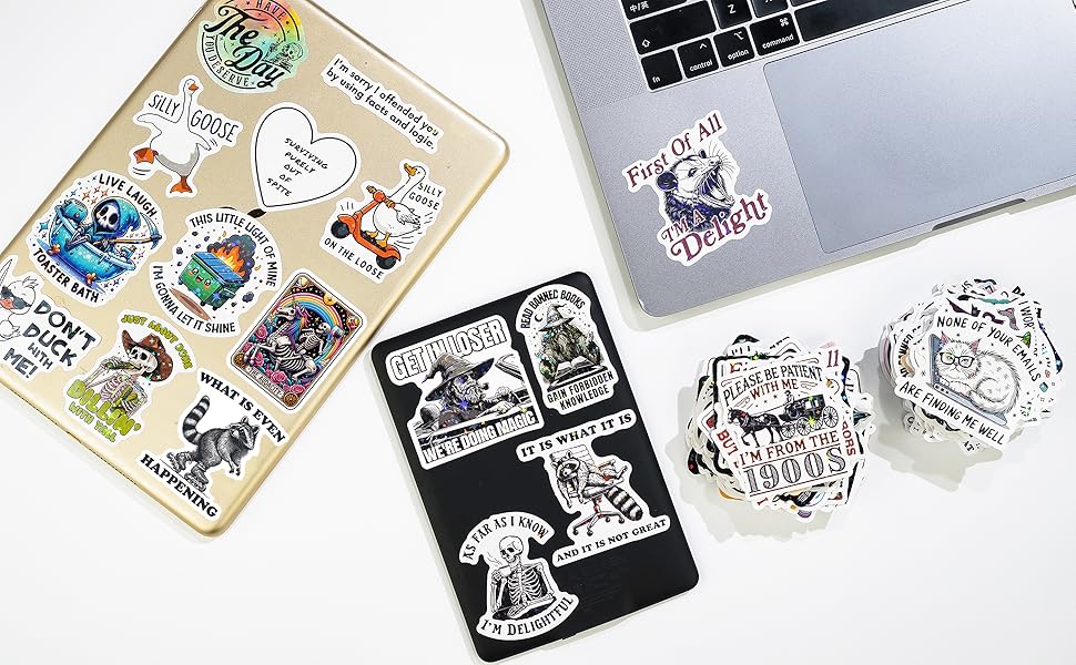 200 PCS Funny Holographic Stickers for Adults, Waterproof Vinyl Sarcastic Meme Decals for Laptop, Water Bottle, Phone, Kindle, Journal, Scrapbook, Bumper, Skateboard, Luggage, No Repeats 200 PCS Funny Holographic Stickers for Adults, Waterproof Vinyl Sarcastic Meme Decals for Laptop, Water Bottle, Phone, Kindle, Journal, Scrapbook, Bumper, Skateboard, Luggage, No Repeats