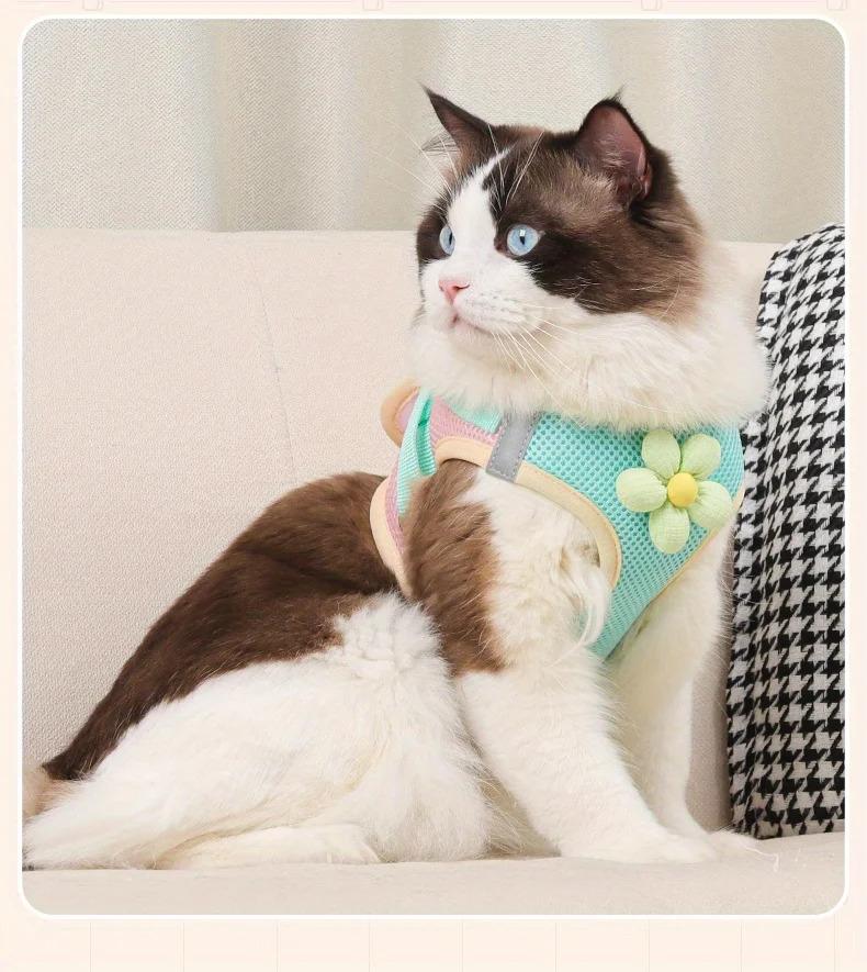 Cat Dog Harness and Leash Breathable Mesh Pet Chest Straps for Cats Puppy Walking Lead Ragdoll Chihuahua Vest Harness Bulldog