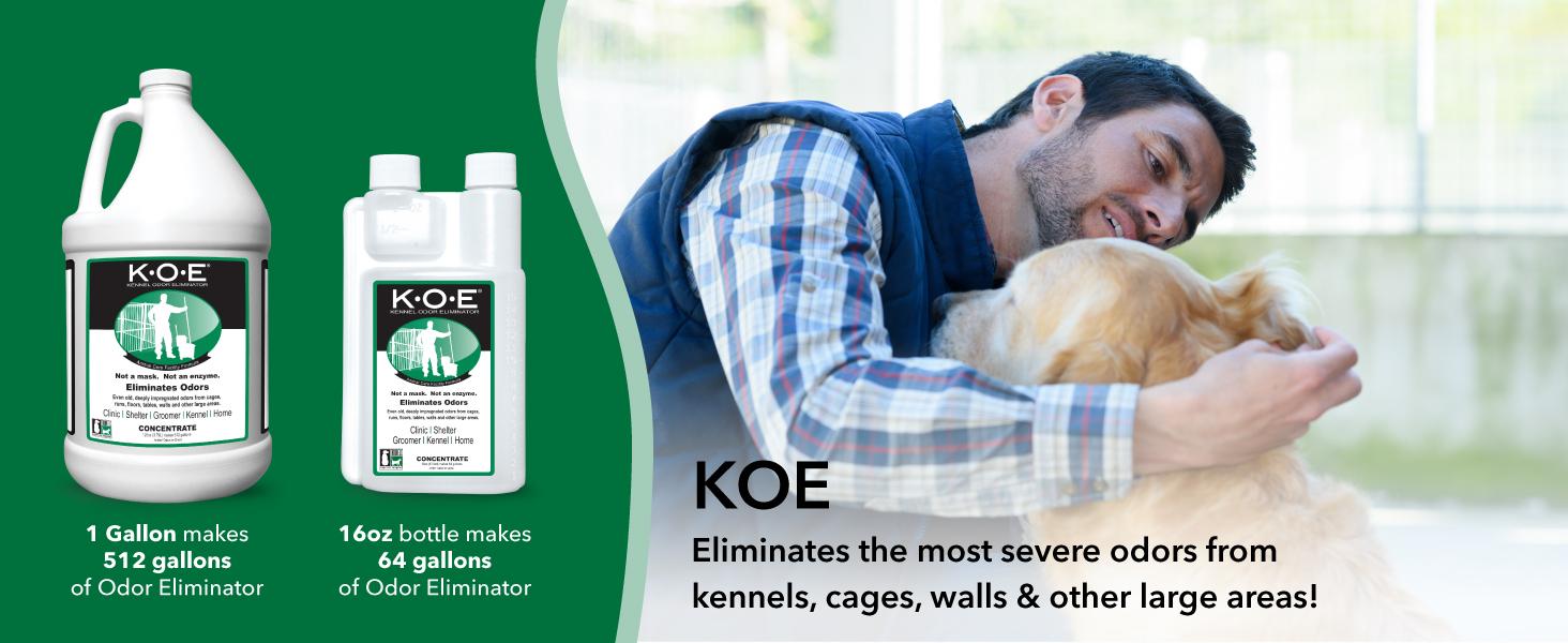 AGS Thornell KOE Kennel Odor Eliminator Concentrate, Odor Eliminator for Strong Odors, Great for Cages, Runs, Floors & More, Pet Odor Eliminator for Home & Kennel w/Safe, Non-Enzymatic Formula, 128 oz
