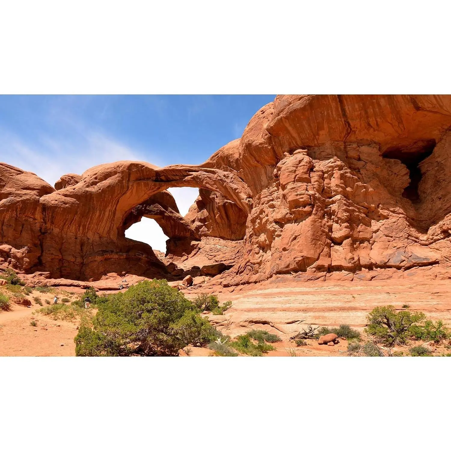 Beautiful Arches National Park Landscape Terrarium & Aquarium Background Blue Sky Gobi Style Sunset Desert Fish Reptile Enclosure Tank 48x18in