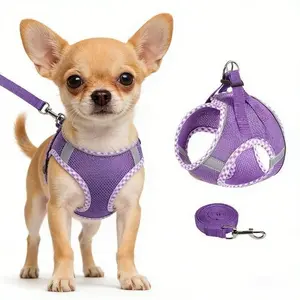 2Pcs Dog Harness and Leash Set, Adjustable No Pull Dog Chest Strap, Outdoor Walking Pet Supplies for Small Medium Large Dogs