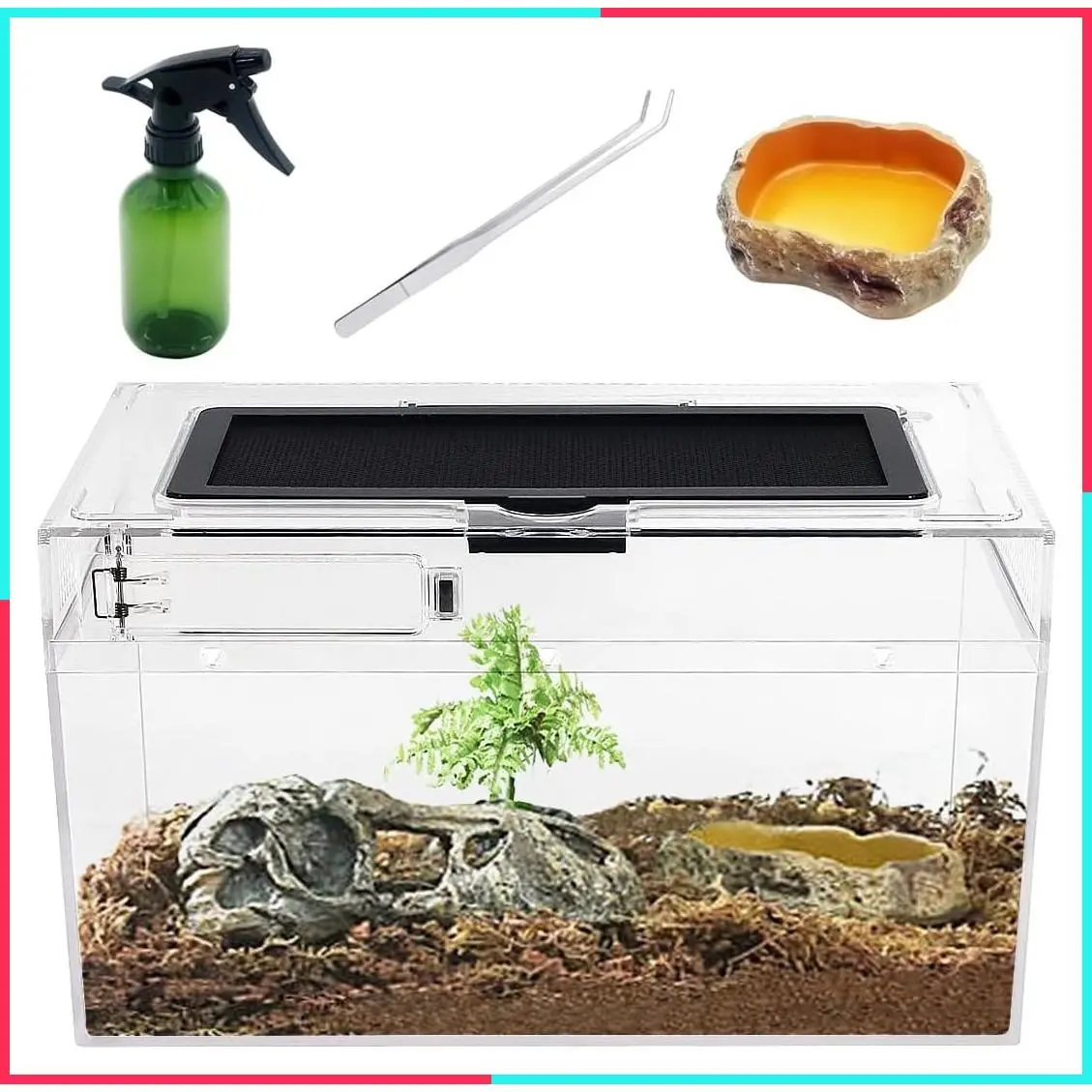 Mini Reptile Terrarium Tank 11.8" x 7" x 6" - Full View Low-Profile Habitat for Insects, Fish, Tarantulas, Hermit Crabs, Jumping Spiders, Iguanas, Tortoises, Leopard Geckos, Frogs, Bearded Dragons
