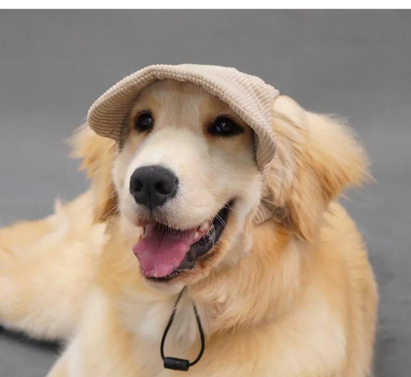 Pet Dog Cap with Ear Holes Adjustable String Dogs Cats Outdoor Peaked Cap Cat Summer Sport Hat For Puppy Small Medium Large Dogs