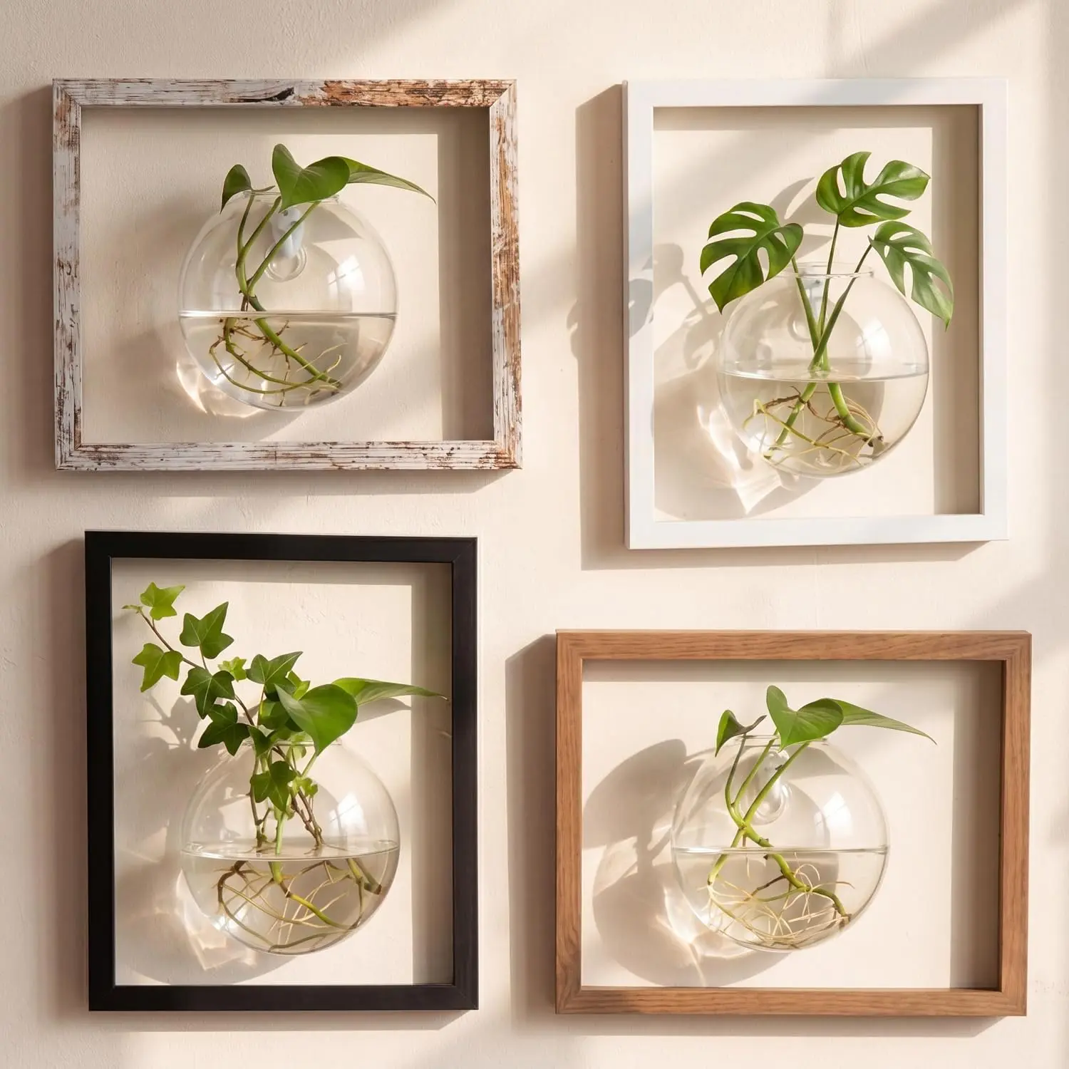 4 Set Glass Wall Vase Planters with Picture Frame Botanical Living Walls Planter Glass Vases  Wall Propagation Planter Station for Hydroponics   Hallway Decor( Color)