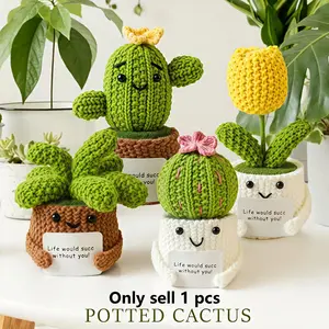 Crochet Cactus Succulent Potted Plant Plush Toy, Handmade Knitted Amigurumi with Encouragement Card, No Maintenance Home Office Desk Decor, Thank You Appreciation Gift for Coworkers & Friends