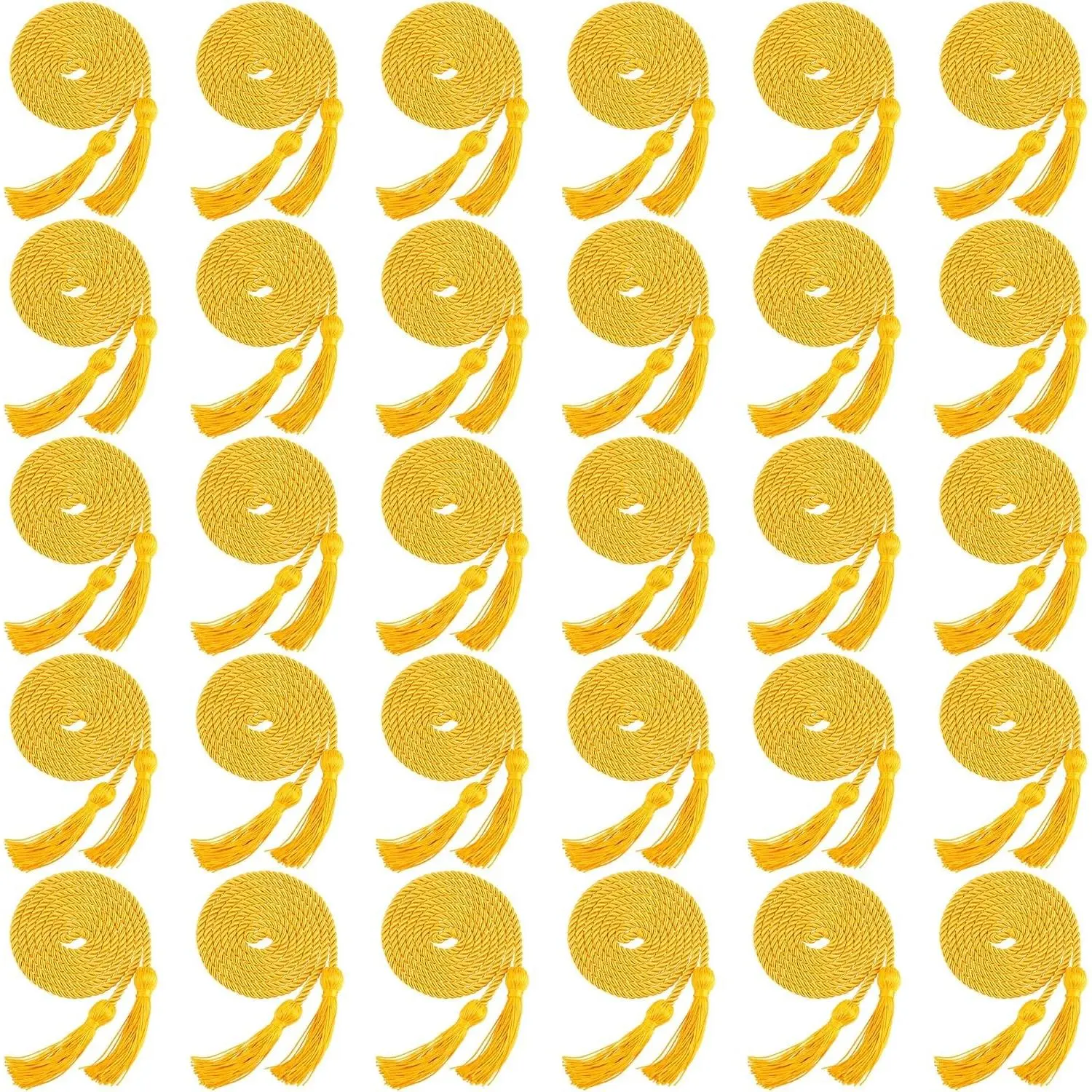 30 Pack Graduation Honor Cord Yarn Honor Cords with Tassel for High School Bachelor Gown College Graduation Students (Gold)