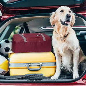 SICANDAENHK Tired of bulky heavy luggage?These 2 foldable travel carry-on bags are your best pick!Premium waterproof fabric, ultra-lightweight comfy design in wine red and navy blue, suitable for overnight travel, weekend vacations, holiday trips