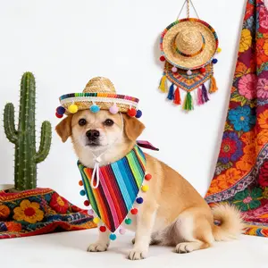 2-piece pet Mexican straw hat and scarf set, Mexican Independence Day celebration, cat and dog apparel, porch goose rainbow Mexican wide-brimmed hat set