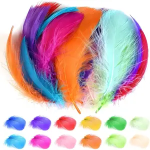 1200 count Colorful Craft Rooster Feathers 3-5 Inches Bulk  Feathers for DIY Crafting,  Arts, Wedding and Party Decorations, Dream Catcher Supplies