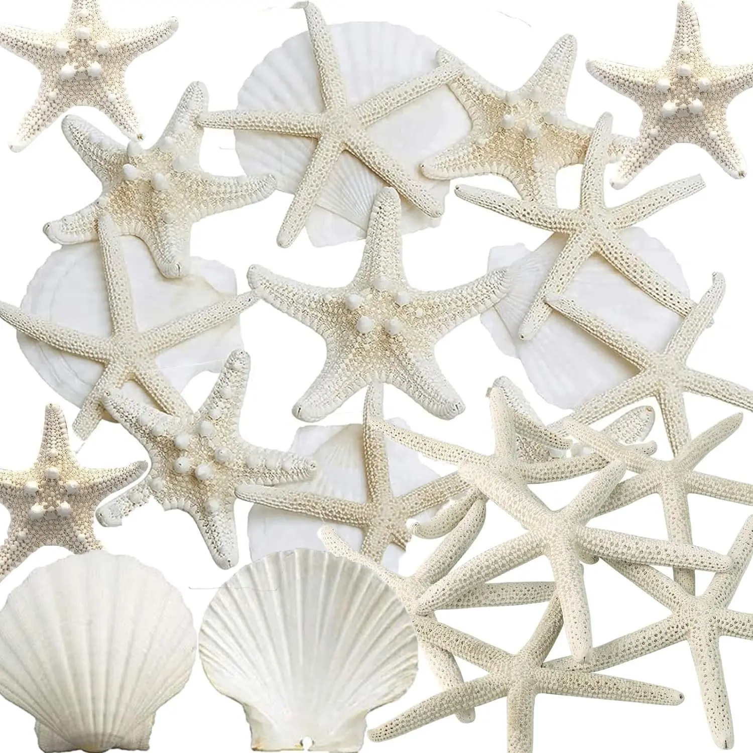 32PCS Starfish and Scallop Shells for Crafts 3"-4" with Pearls | Large Seashells Natural Sea Shells for Crafting Beach Party Christmas Decor DIY Wedding Fishtank