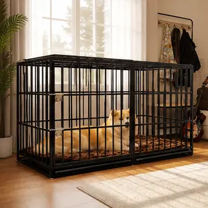 ARCH 61in Extra Large Heavy Duty Carbon Steel Dog Crate - 31.50" w x 60.60" d x 36.00" h, 78.70 lb, Double Door Dual Locking Non-Skid Fade-Resistant Metal Wire Kennel for 71-90 lbs Large Dogs, Removable Plastic Tray, Indoor-Outdoor American Design Use