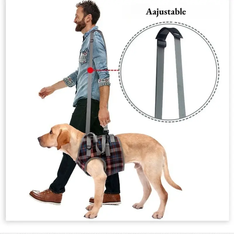 Tailo Pet Leg Support Harness, Adjustable Shoulder Strap, Dog Rear Leg Brace for Injured Elderly Dogs, Walking Aid for Disabled Pets