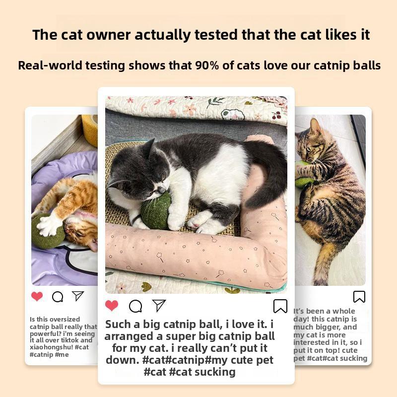 Catnip Ball & Silvervine Molar Toy for Cats, Cat Treat Lick Toy for Self-Play & Boredom Relief Catnip Ball Chew Toy, Lickable Cat Treat with Silvervine, Self-Play Boredom Relief for Cats