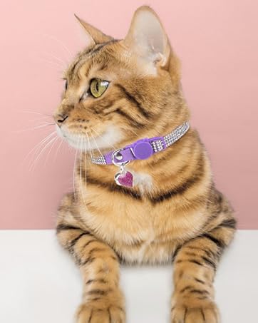 Airtag Cat Collar with Bells and Bowtie -Safety Elastic Band Kitten Collar for Apple Air Tag Holder- Cute GPS Cat Tracker Collars for Girl Boy Cats and Puppies, Adjustable 8"-12" Pink
