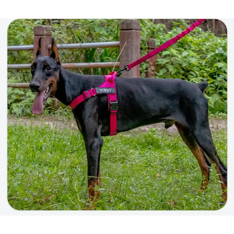 Easy-On Lightweight Dog Harness, Anti-Pull Leash for Medium & Large Dogs Easy-On Lightweight Dog Harness, Anti-Pull Leash for Medium & Large Dogs