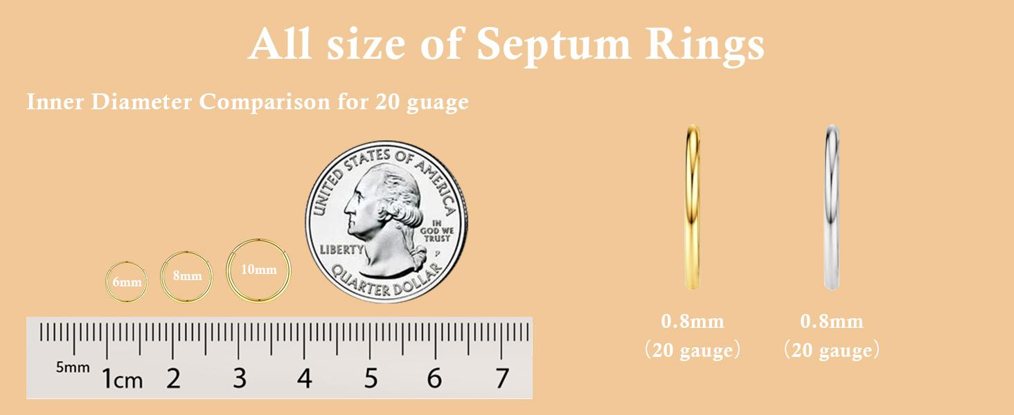 14K Gold Hinged Titanium Nose Rings Hoop for Women 20G, 316L Surgical Steel Clicker Septum Ring, Hoop Huggie Earring for Upper Lobe Cartilage Helix Piercing Jewelry