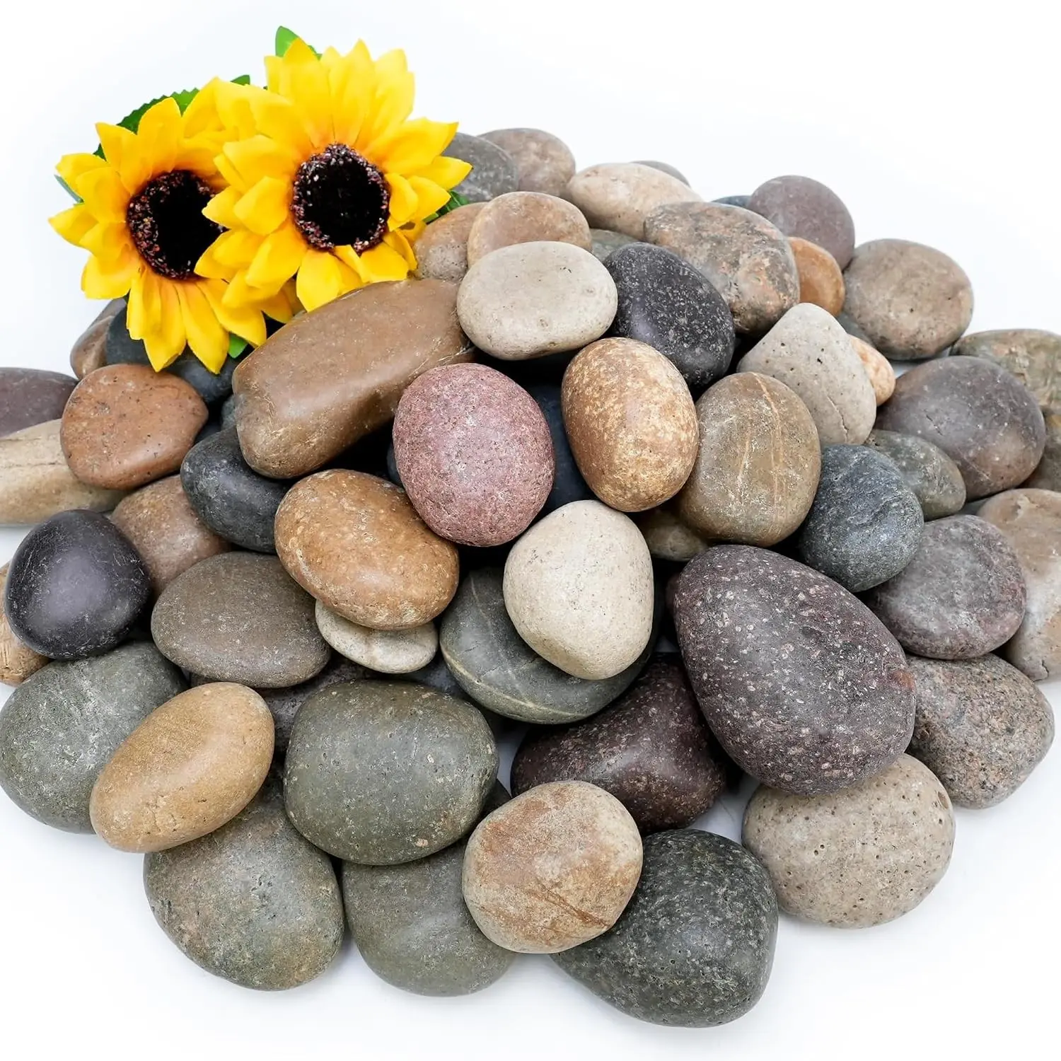 6lb Mexican Beach Pebbles, 2-3" Large River Rocks for Landscaping | Smooth Garden Rocks for Outdoor Paving, Natural Pebbles for Indoor Plants, Decorative Stones for Planter, Fish Tank, Fountain