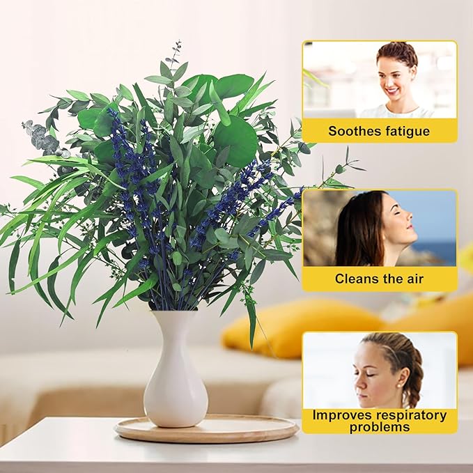 5 Kinds Mix Dried Eucalyptus & Lavender Bundle for Shower, 15''-17'' Fresh Preserved Eucalyptus Leaves and Lemon Hanging Plants| Spa Aromatherapy Bathroom Decor Decorative Fruit Set Ornaments