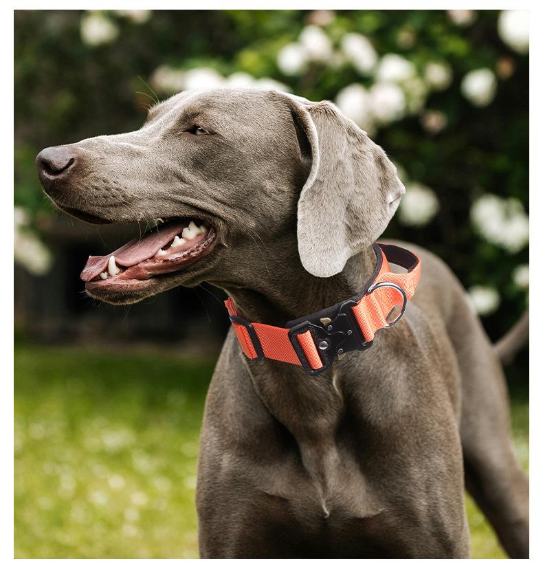 Premium Heavy-Duty Nylon Dog Collar - Extra Wide, Padded, with Stainless Steel Buckle Adjustable Pet Collar, Durable Dog Collar for Medium Large Dogs Cats for Outings, Dog Supplies, Pets Supplies, Christmas Gift