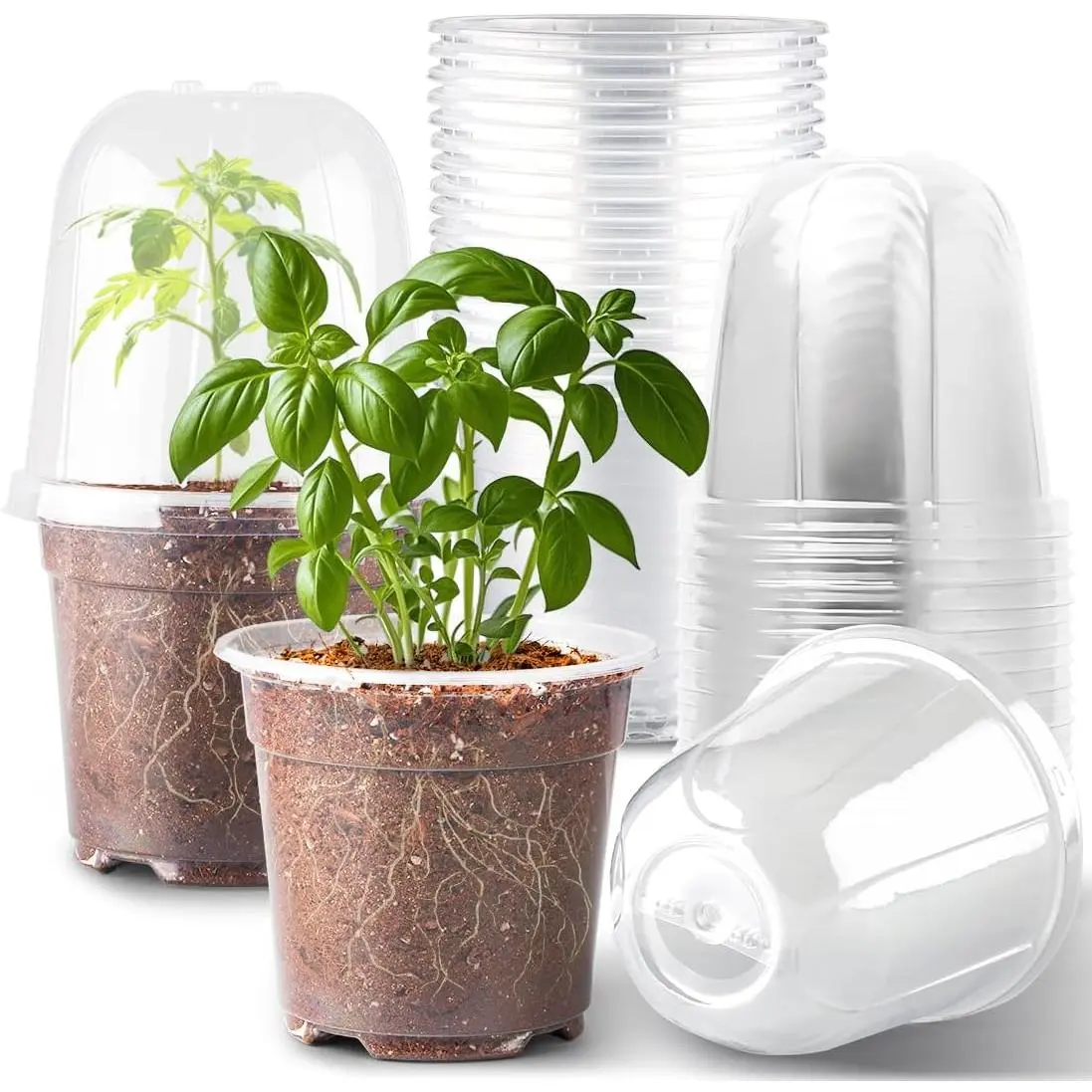 6 Inch Clear Nursery Pots with Humidity Dome, 15 Pack Durable Seed Starting Pot with Drainage Holes, Transparent Plastic Plant Seedling Pots for Indoor Gardening Plants
