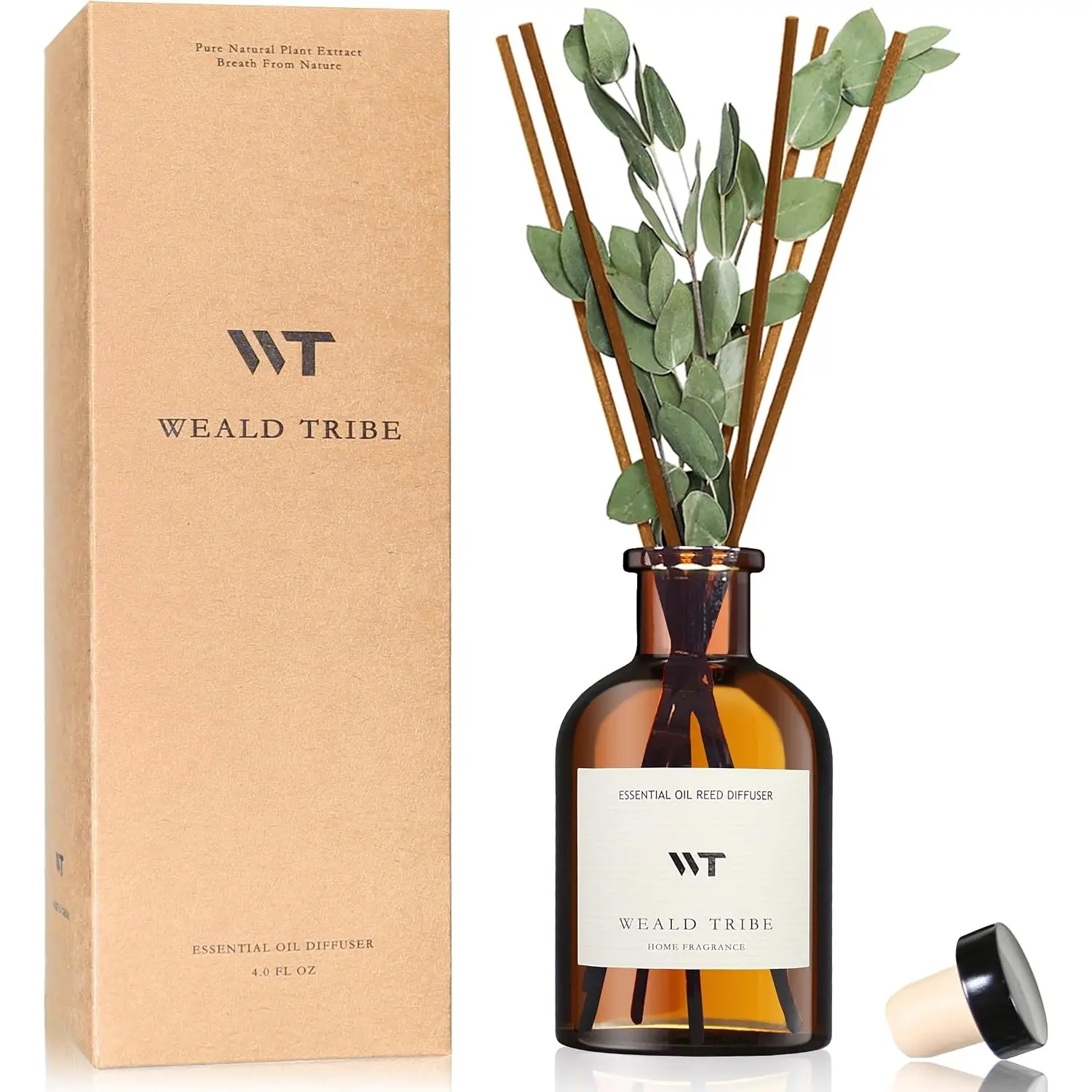 Eucalyptus & Lavender Scented Floral Aroma Flower Reed Diffuser Set, 4.0 fl oz Home Fragrance Oil with Sticks for Room Bathroom Decor, Set Includes Air Freshener Accessories, Office Gift