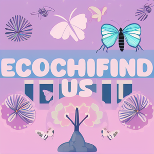 EcoChiFind US