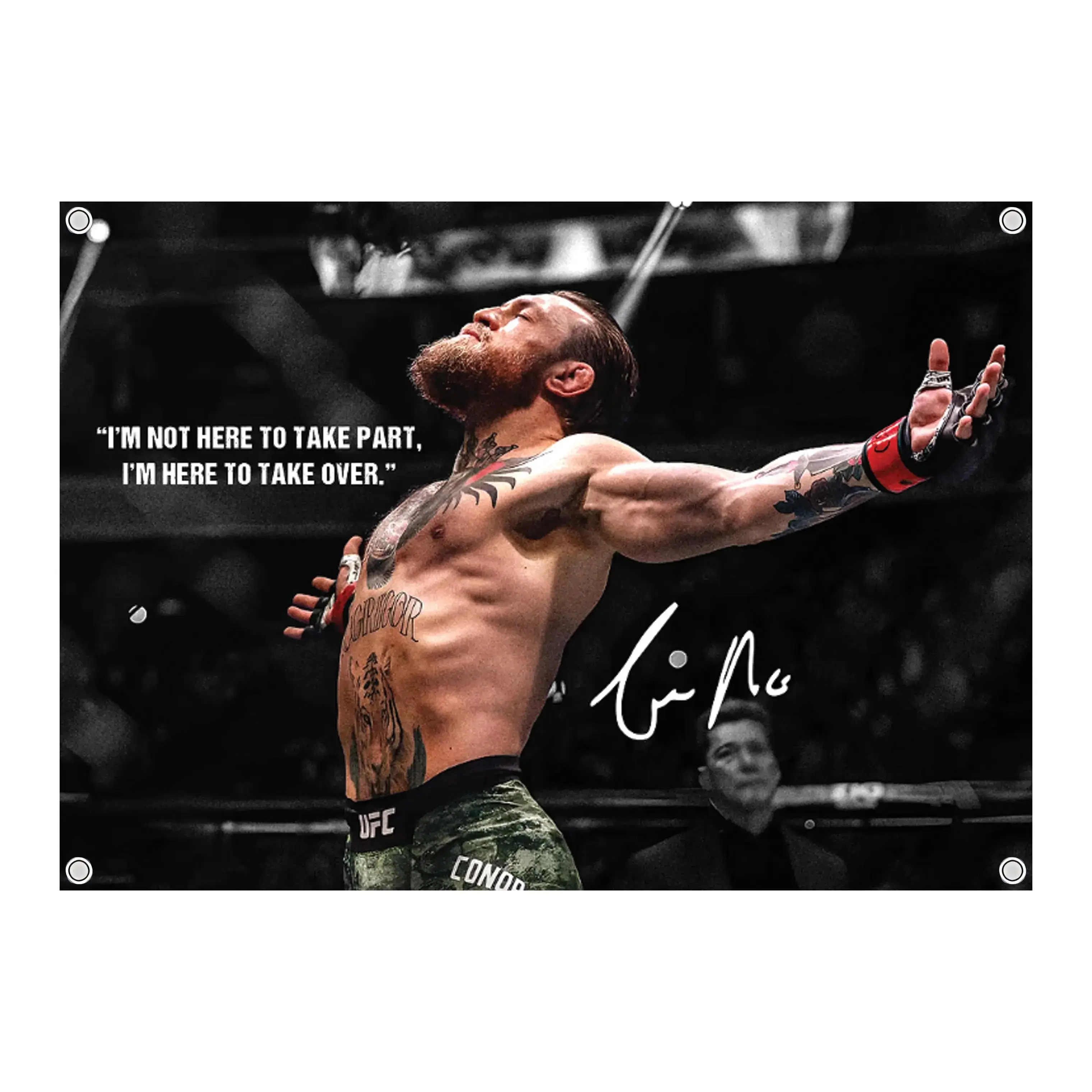 Conor McGregor Boxer Graphic Flag - UFC MMA Wall Flag Banner, Vintage Fighter Room Decor, Fight Night Bedroom Decor, Gift for MMA Fans Men & Women
