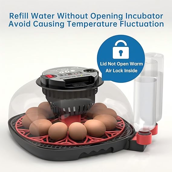 Egg Incubator for Hatching Chicks, Automatic Egg Turner Holds 12 Eggs, Smart Incubator 360 °   Clear Window with Temperature Display Egg Candler for Small Poultry Chickens Ducks Quails Eggs