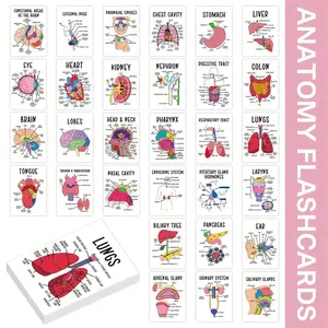 30 Human Organs Flashcards Set, Anatomy Education for Home School, Quick Study Memory Aid, Portable Learning Tool