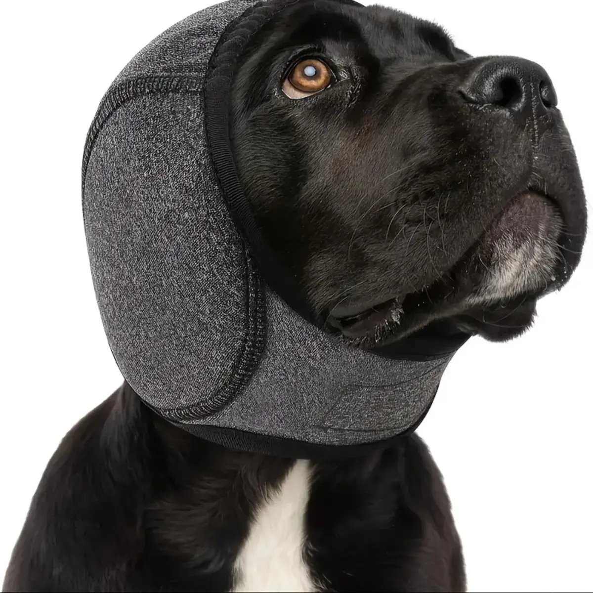 Professional Noise-Canceling Dog Ear Muffs - For Swimming/Thunderstorms/Vet Visits | Breathable Memory Foam, Puppy to Adult Dogs | Anxiety Relief & Secure Fit