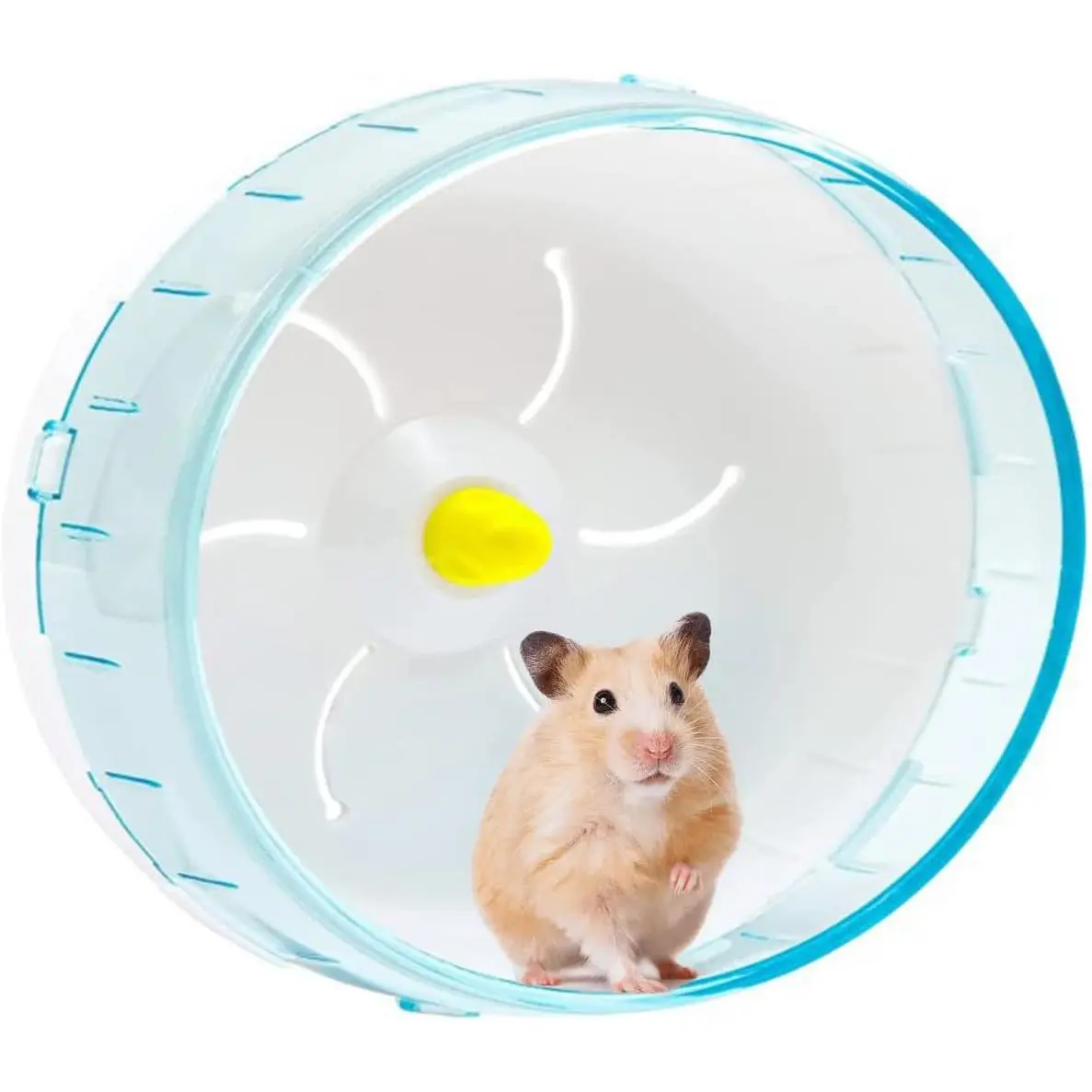 Quiet Silent Hamster Exercise Running Wheel for Syrian Hamsters Gerbils Mice Rats Guinea Pig Hedgehog Small Animals Pet Toy