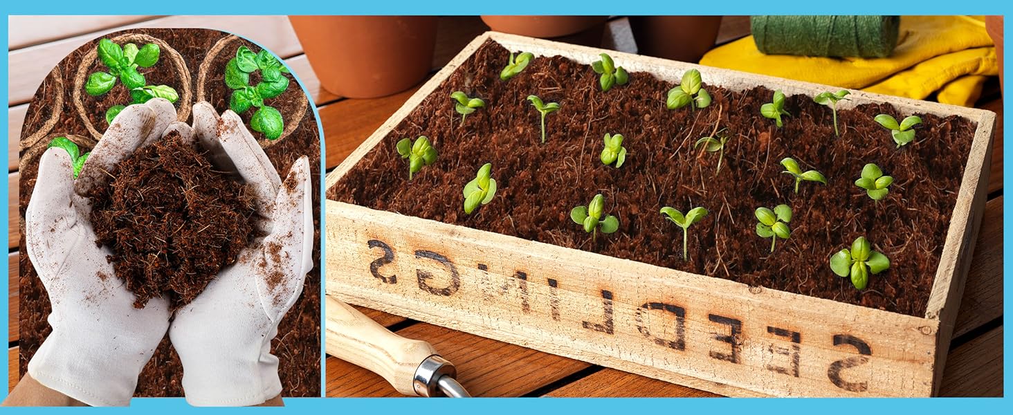 Coco Coir Bricks 6 Pack 100% Organic Peat Moss, Fiber Husk for Planting,, Potting Soil Substrate