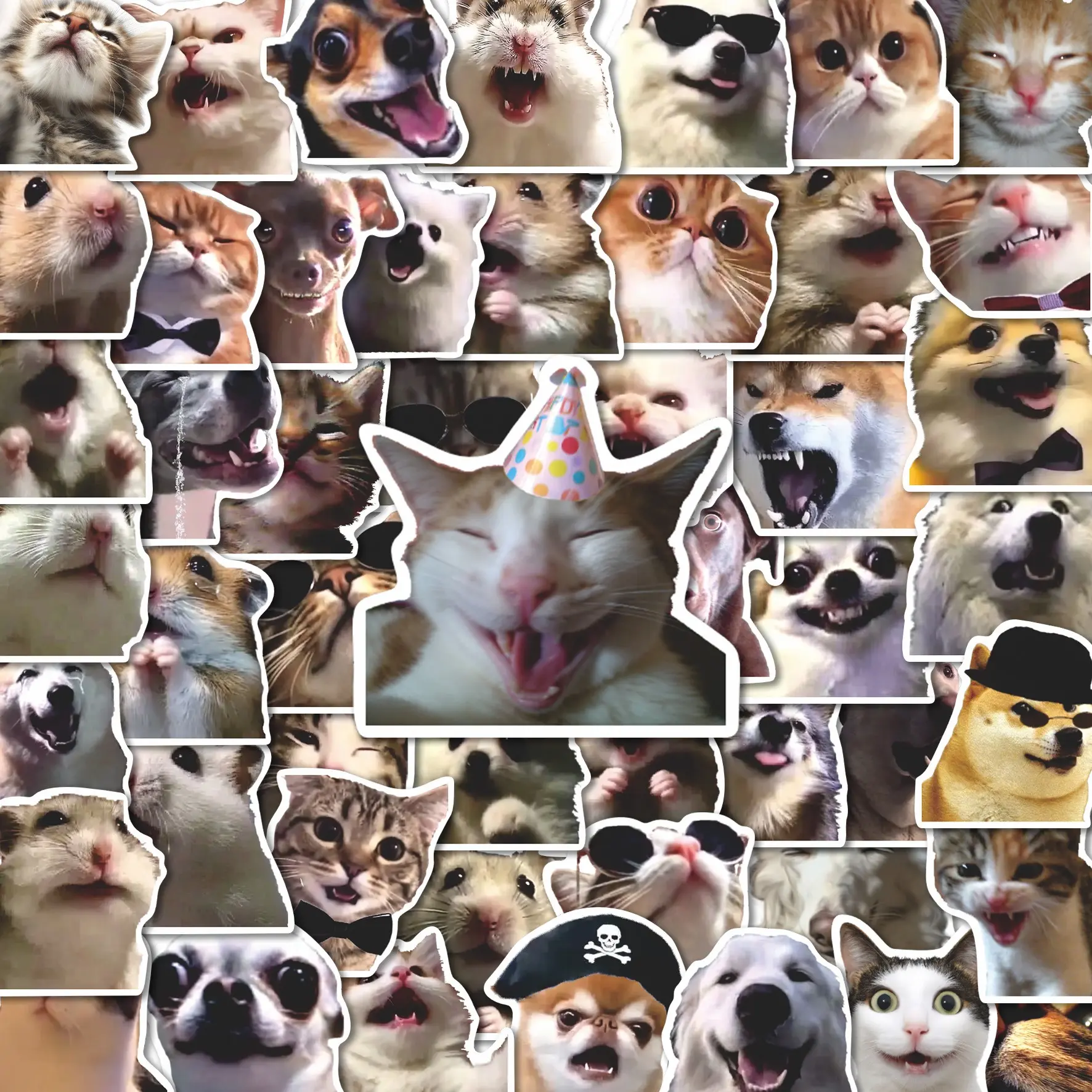 50Pcs Funny Animal Meme Faces Stickers Pack, Waterproof Hilarious Cat Dog & Hamster Meme Vinyl Decals for Water Bottle, Laptop, Phone Case, Meme Lover Gift