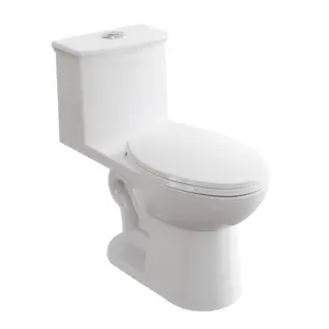 ADA Commercial One Piece Toilet Dual Flush 0.8/1.28 GPF, Comfort Height Ceramic with Soft Close PP Seat, CUPC Certified 12 inch Rough In, White