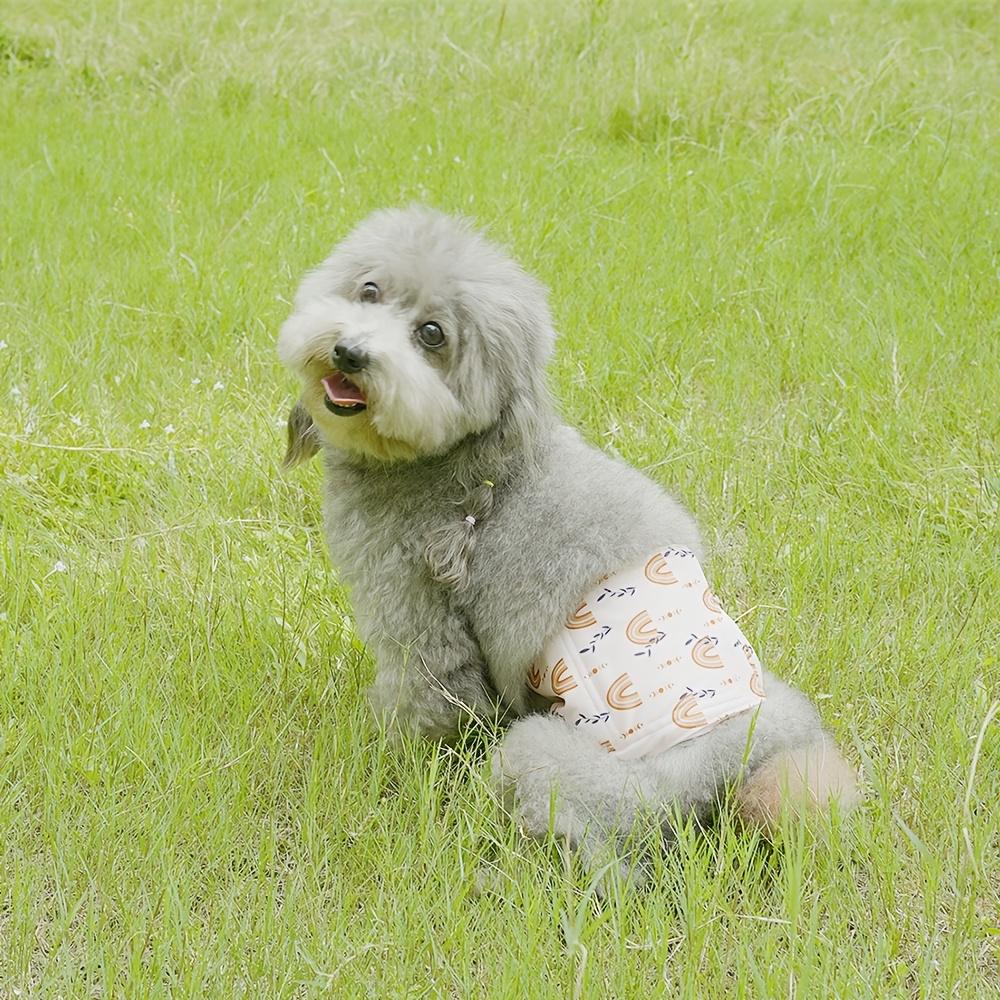 [Reusable Dog Diaper] 1pc Washable Male Dog Belly Bands Reusable Dog Diaper with High Absorbency Liner, Breathable Cloth Underwear for Potty Training