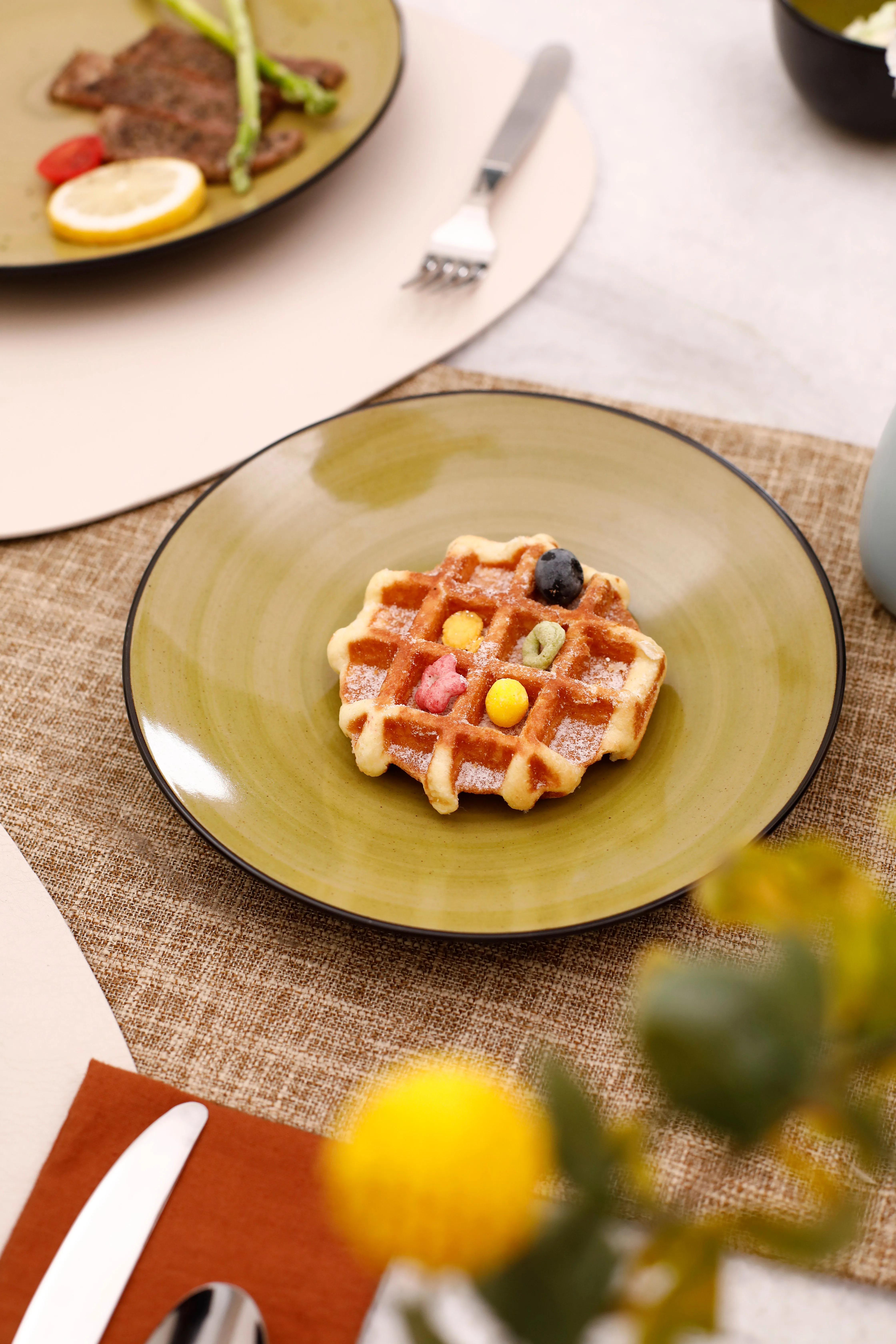 Handpainted Sonoma Green 16pc Ceramic Dish of Plate High-End Luxury Kitchen Bowls With Coffee Mug Premium Dinnerware Sets for 4