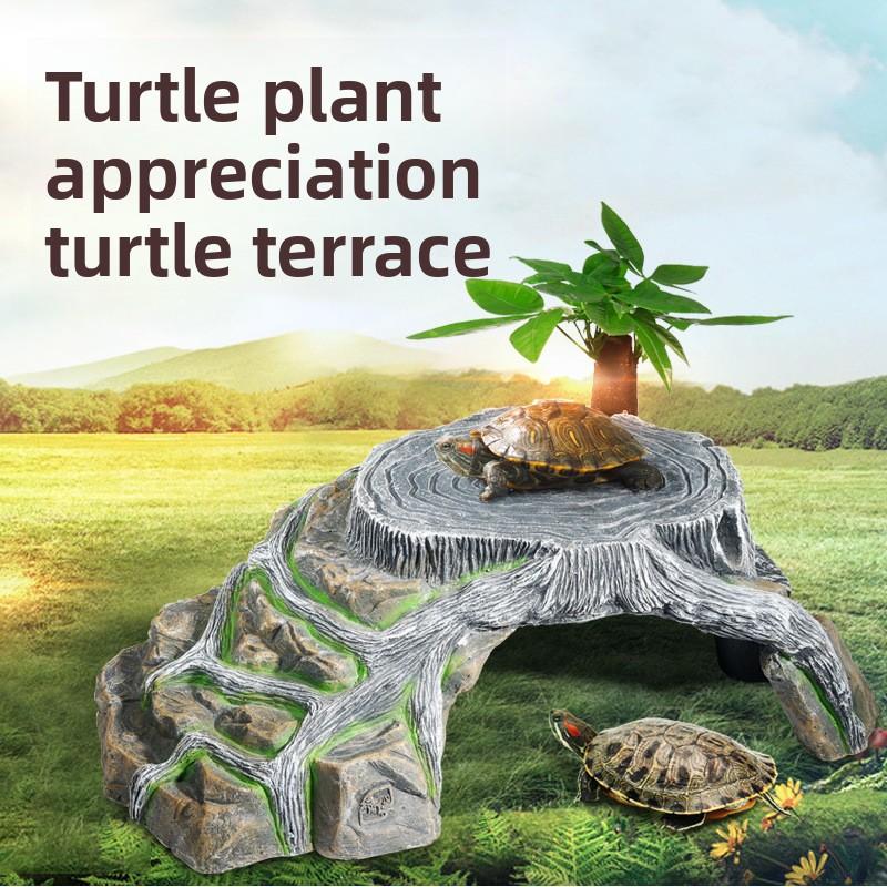 Turtle Care Supplies Small Turtle Rockery Tank Basking Platform Climbing Platform Mini Round Fish Tank Home Aquascape Set