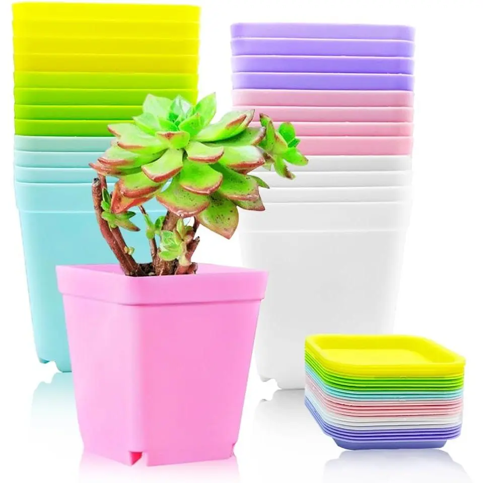 24 Pack Colorful Flower Pots Square Plastic  Pots Succulent Planter  Pots with Saucers for Your Room,Garden Office and Balcony Decor