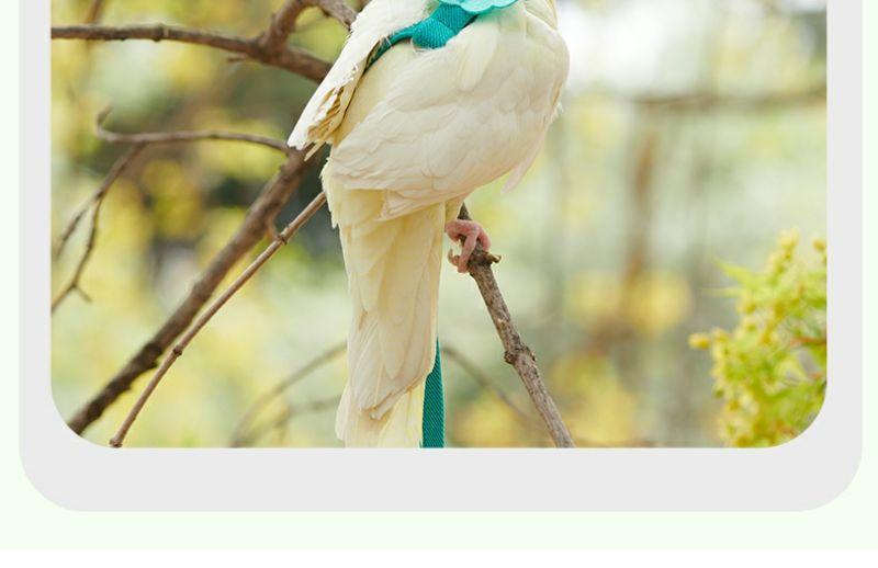 Adjustable Bird Harness Leash 2m Hand Rope Safe Escape Proof for Parrots Conures Cockatiels Outdoor Training Walking Pet Supplies
