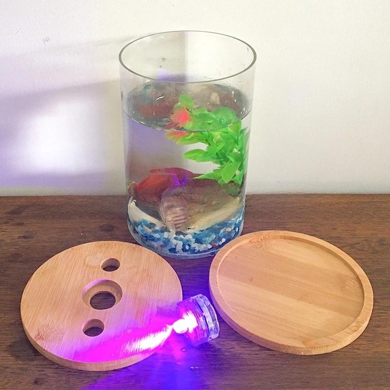 Acrylic Fish Tank Desktop Micro Landscape Round Tank Creative Ecological Small Fish Tank High Transparency Rotating Betta Tank with Light